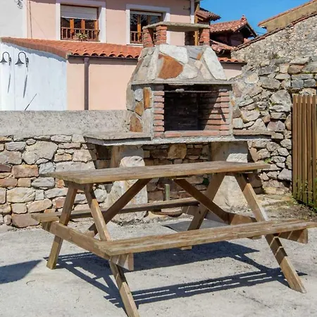 Jardín De Casa Male *