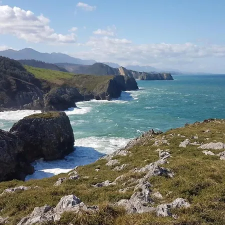 El Jardin De Casa Male