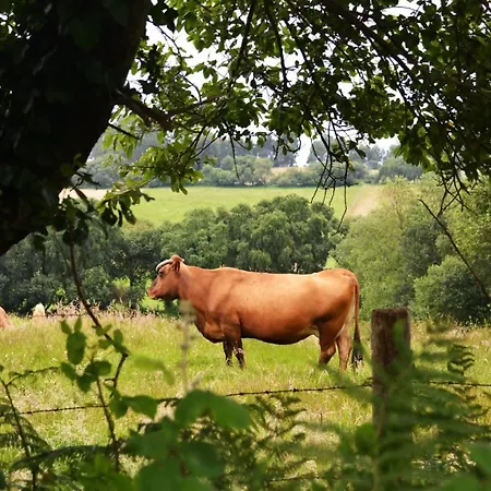 Apartmán El Jardin De Casa Male Pimiango